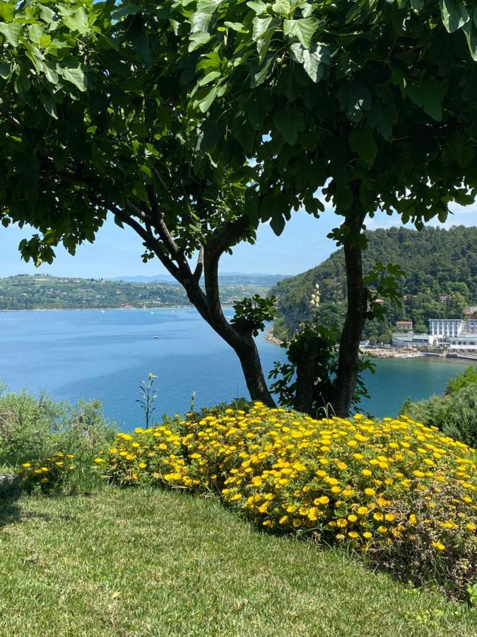 - Pocitniska Hiska V Fiesi, Vakantiehuis Piran